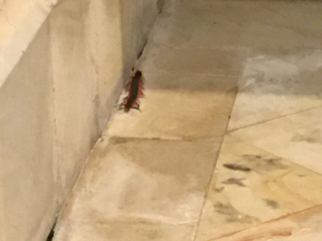 因陀罗玛雅泳池别墅酒店主图