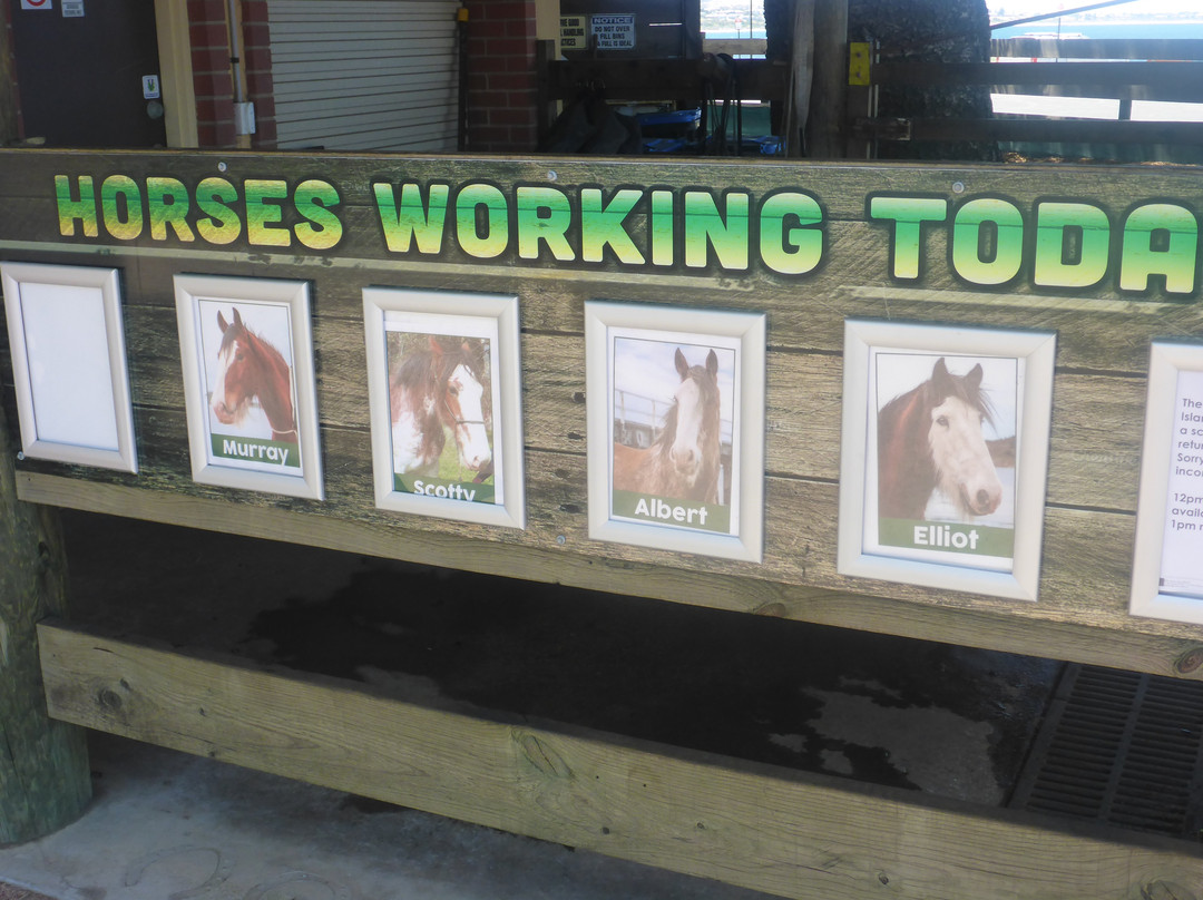 Victor Harbor Horse Drawn Tram-维克多港必去景点