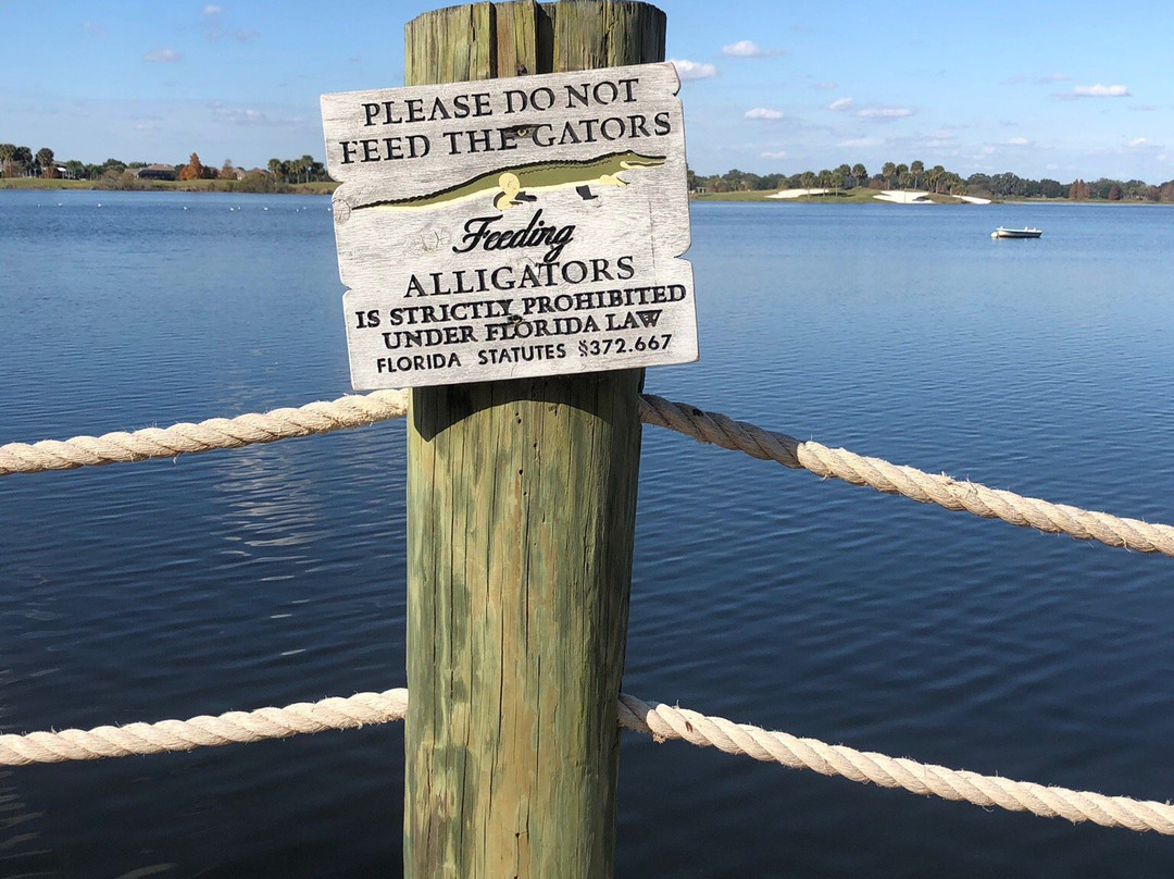 Lake Sumter Landing景点图片