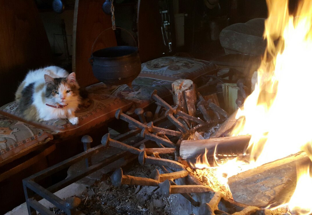 Mariquina旅游攻略图片