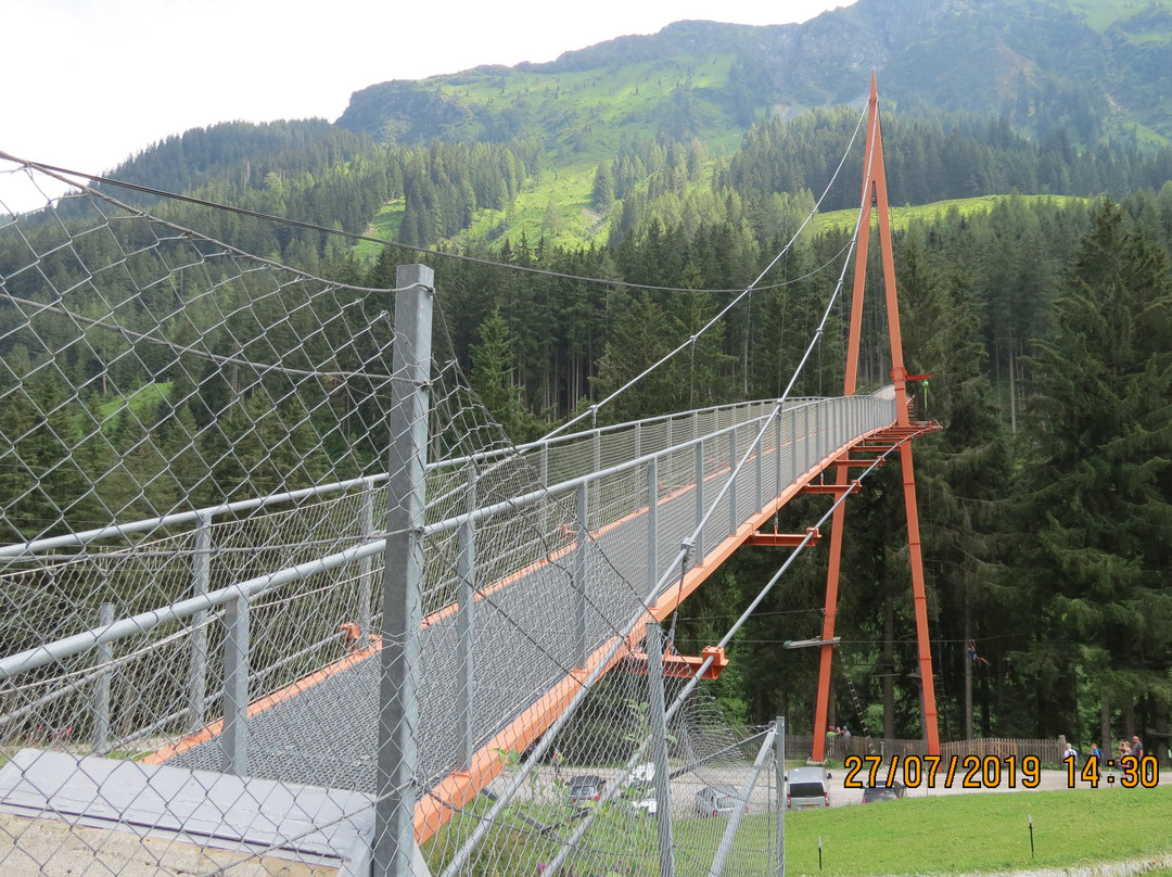Baumzipfelweg景点图片