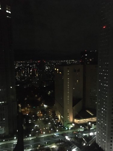东京京王广场尊贵大酒店-酒店景观