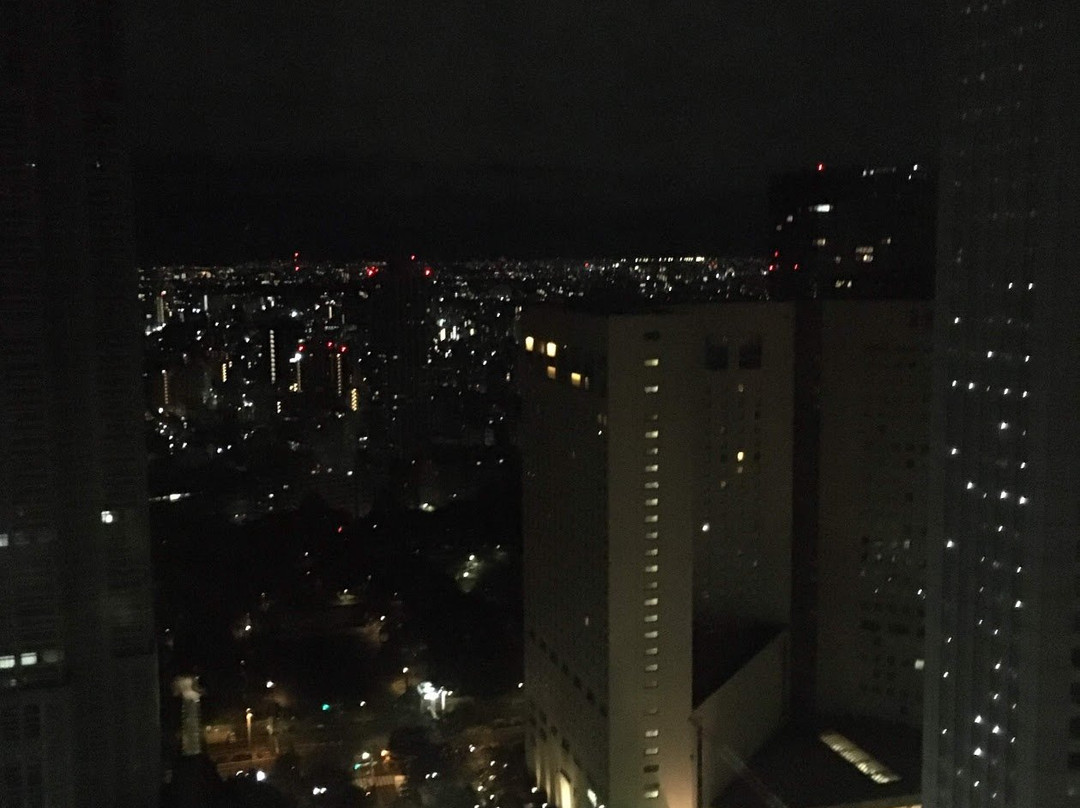 东京京王广场尊贵大酒店主图