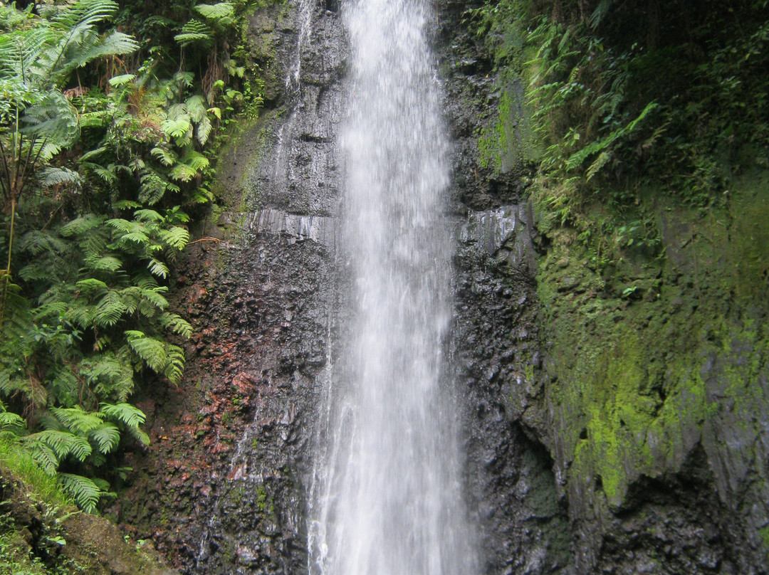 Lenuanatuaiu Waterfall-塔纳岛必去景点