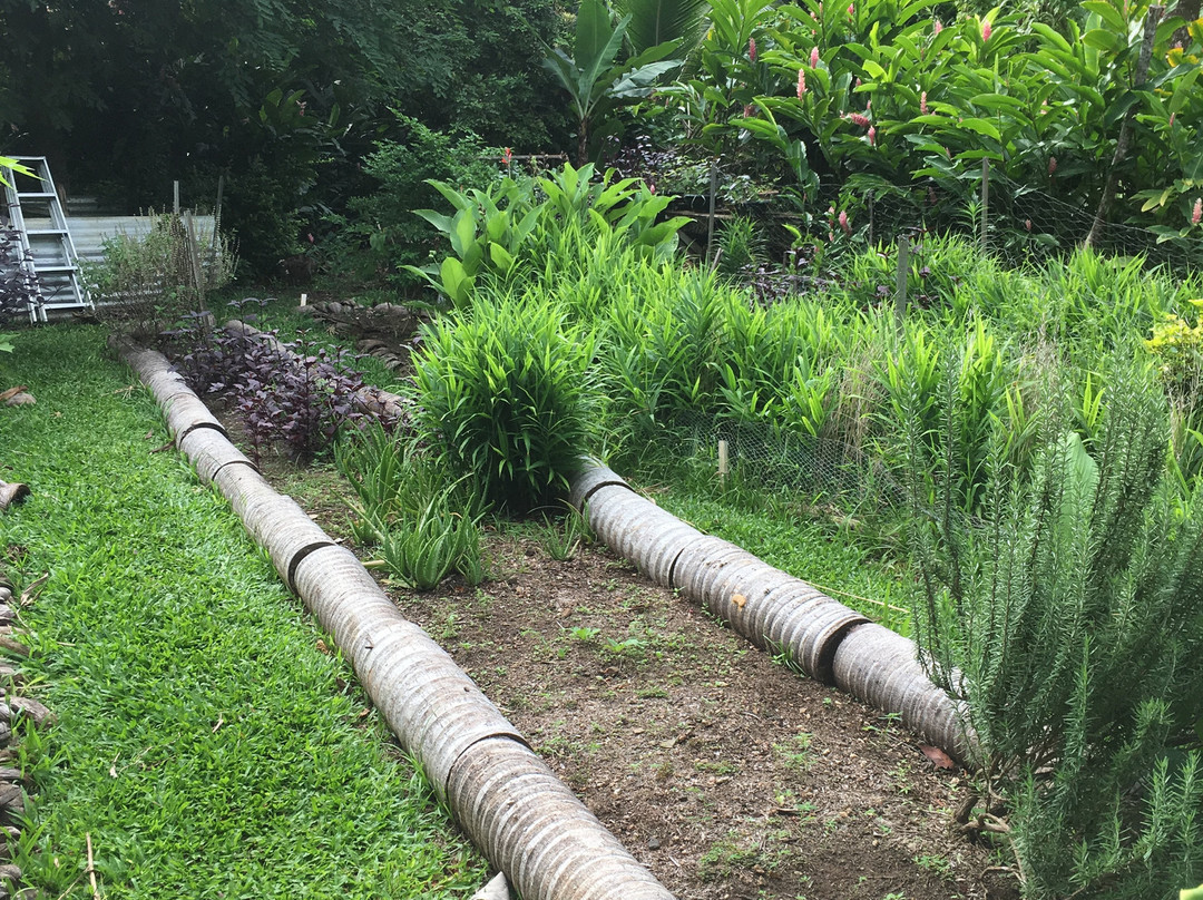 Maire Nui Gardens & Cafe景点图片