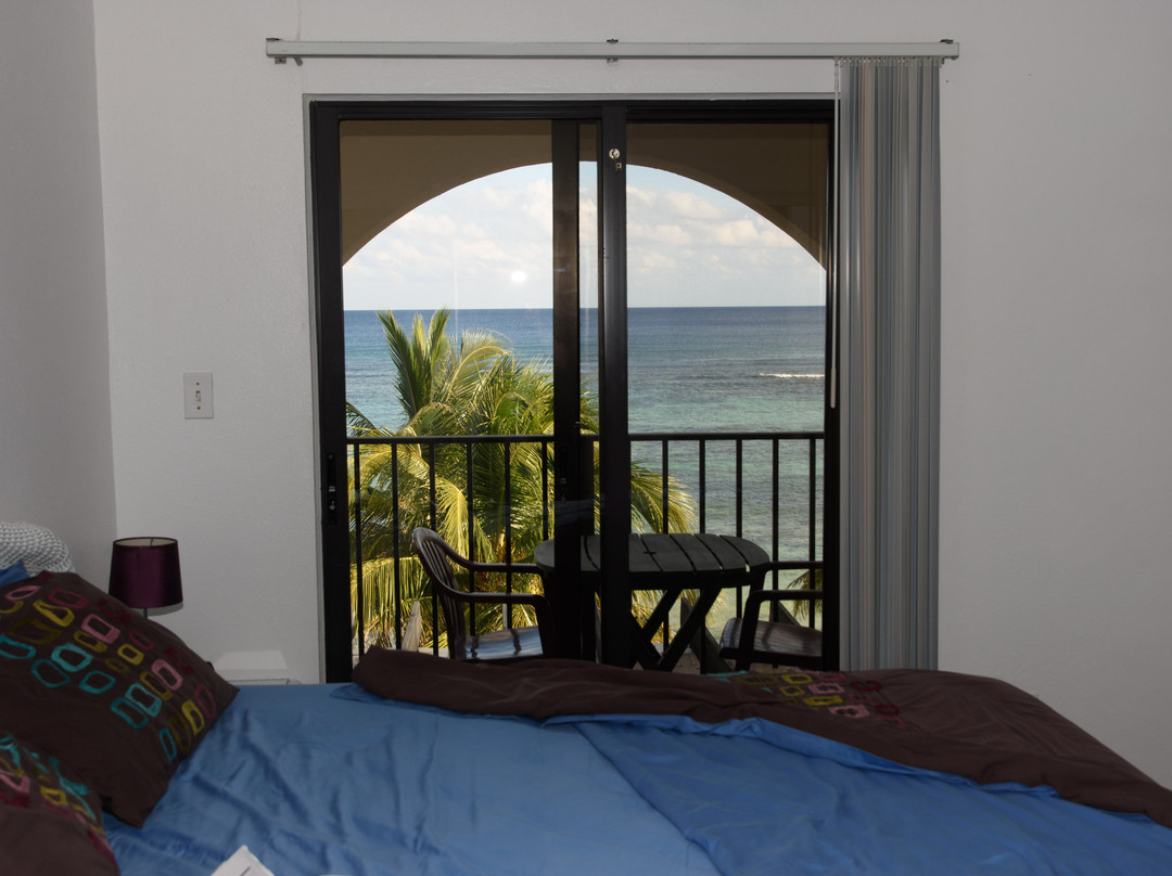 Turtle Nest Inn主图