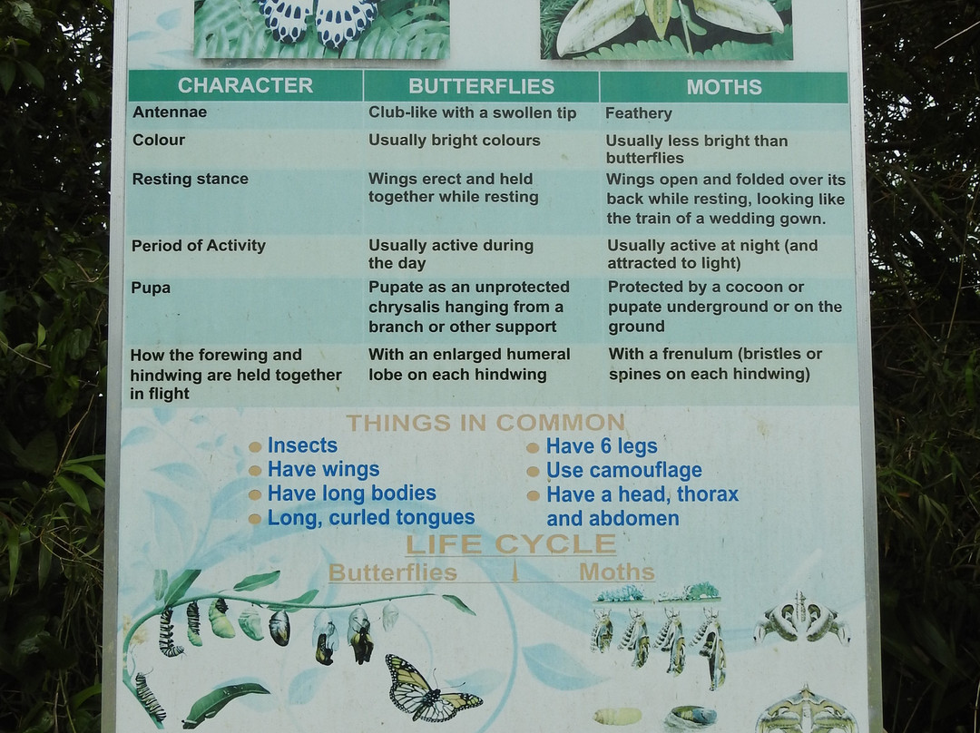 Mount Manipur National Park-布莱尔港必去景点