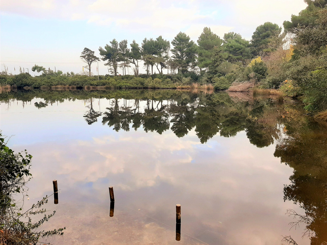 Lago Profondo Portonovo-Portonovo必去景点