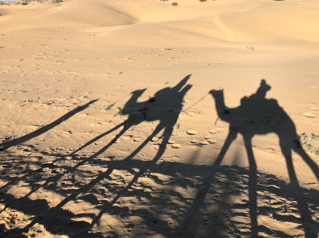 Lal Garh Desert Safari景点图片