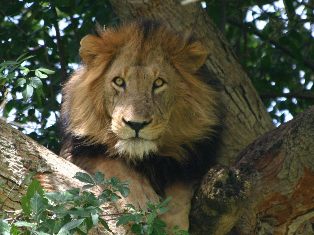 On Holiday Safaris-恩德培必去景点