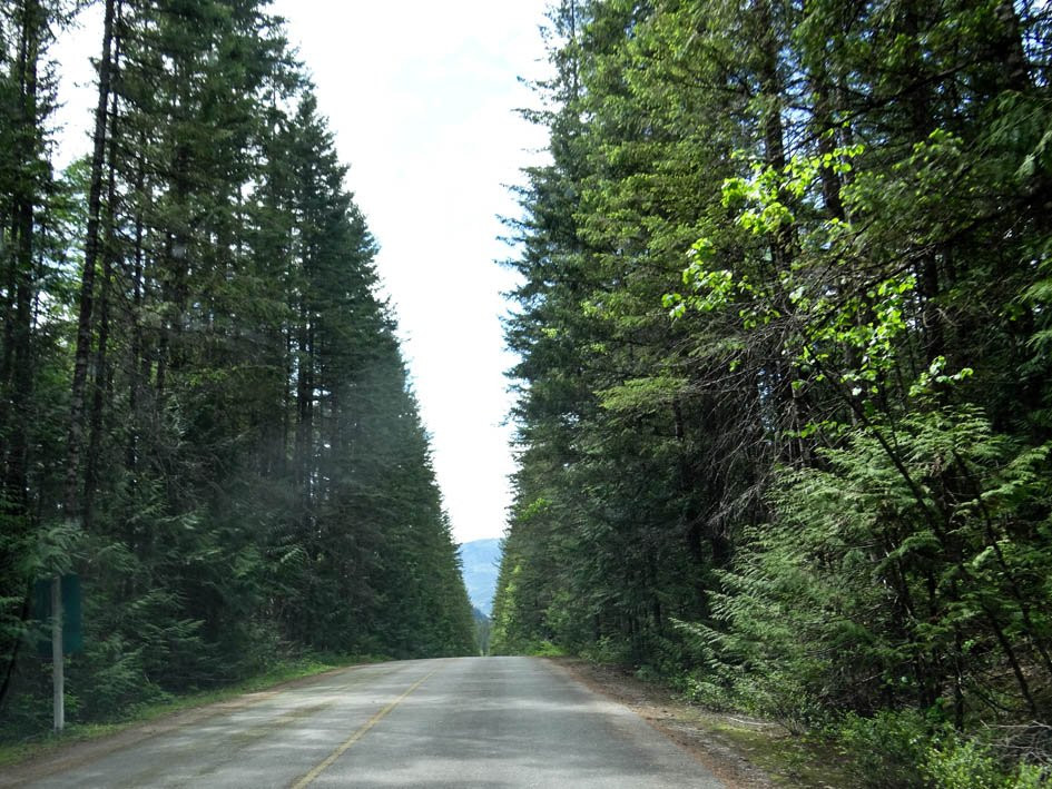 Yard Creek Provincial Park-Malakwa必去景点