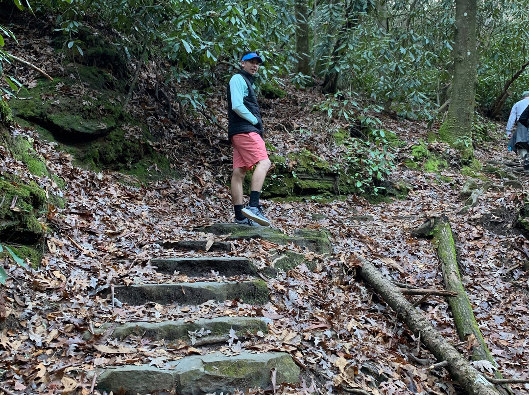Angel Falls Trail景点图片