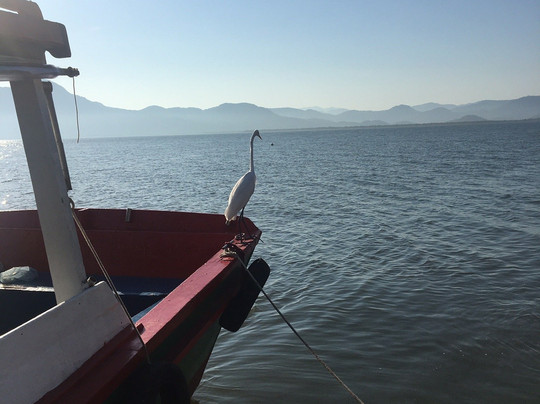 Guaraquecaba Environmental Protection Area-Guaraquecaba必去景点