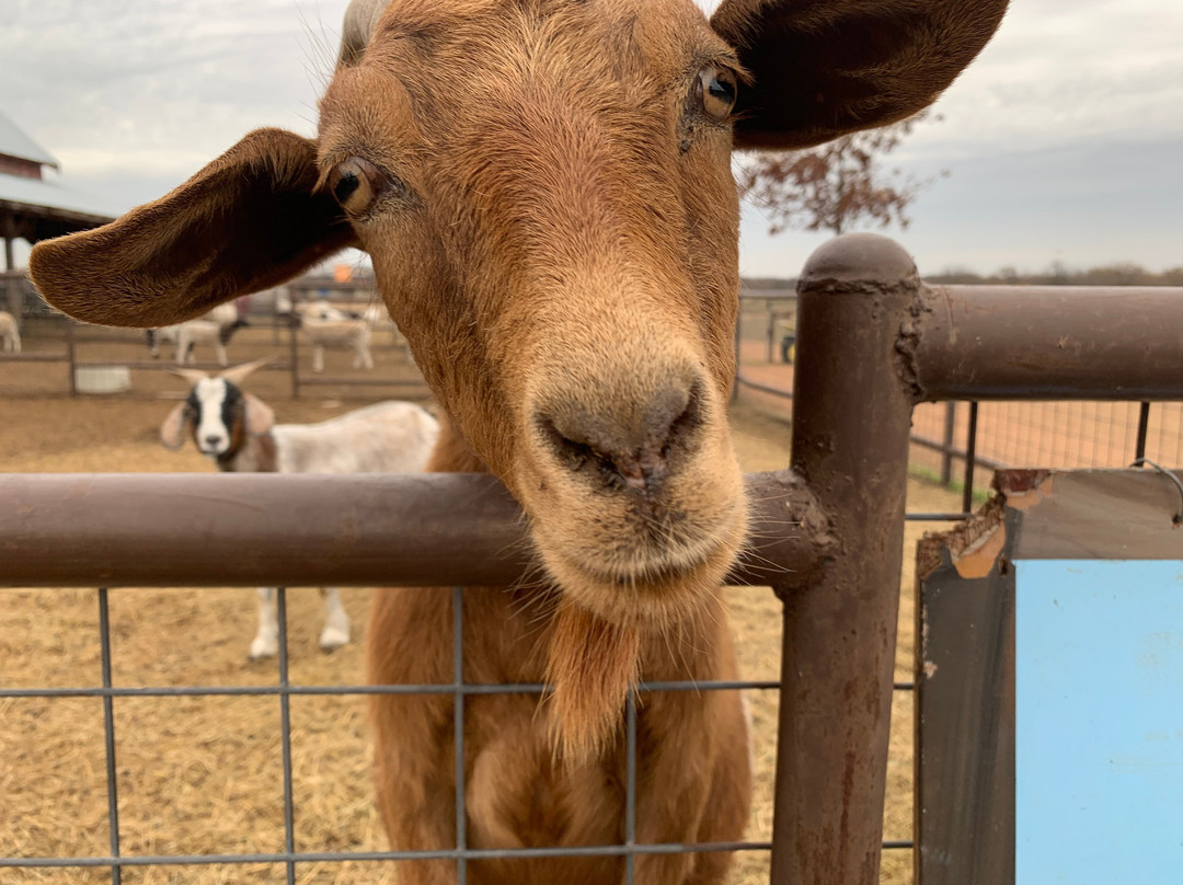 Preston Trail Farms-Gunter必去景点