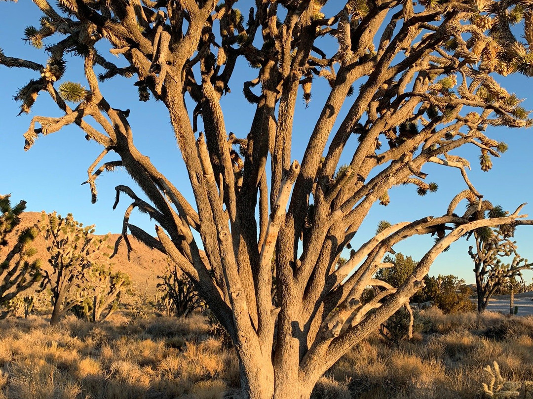 Teutonia Peak-Cima必去景点