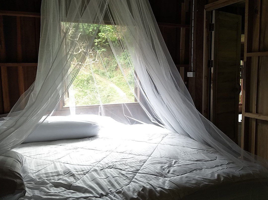 Mae Lan Kham Homestay主图