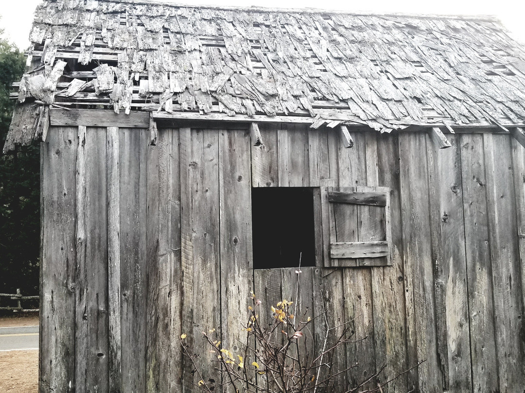 Wolf Creek旅游攻略图片