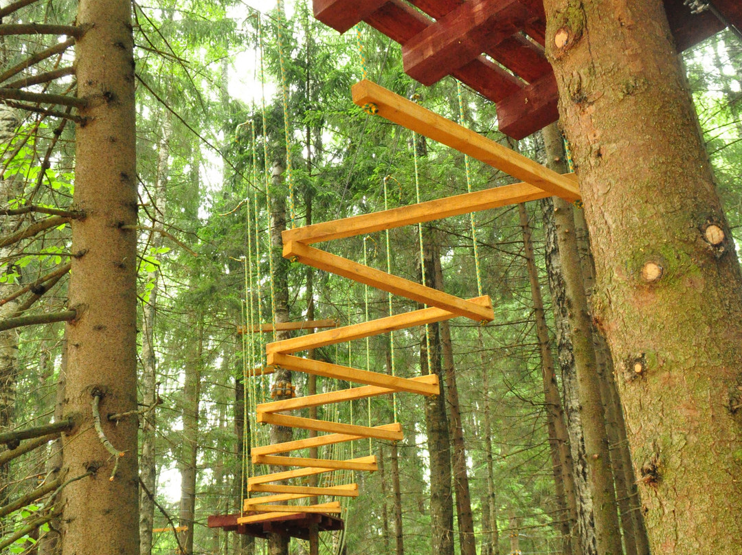 Berezina Biosphere Reserve-Domzharytsy必去景点