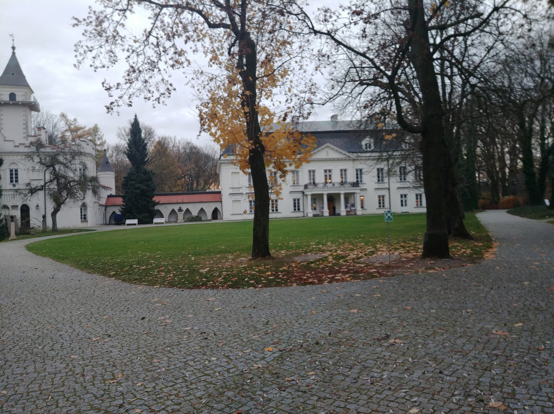 Palace in Radziejowice景点图片