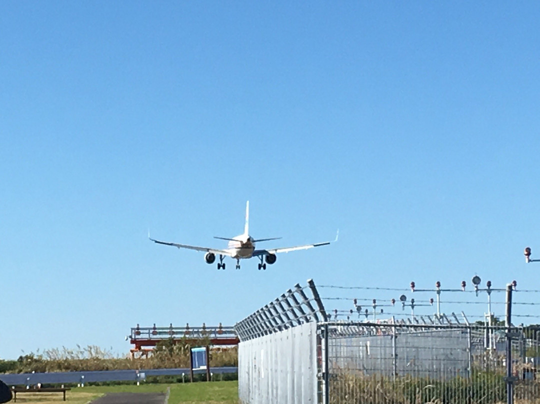 Daidarabotchi Plaza-牧之原市必去景点