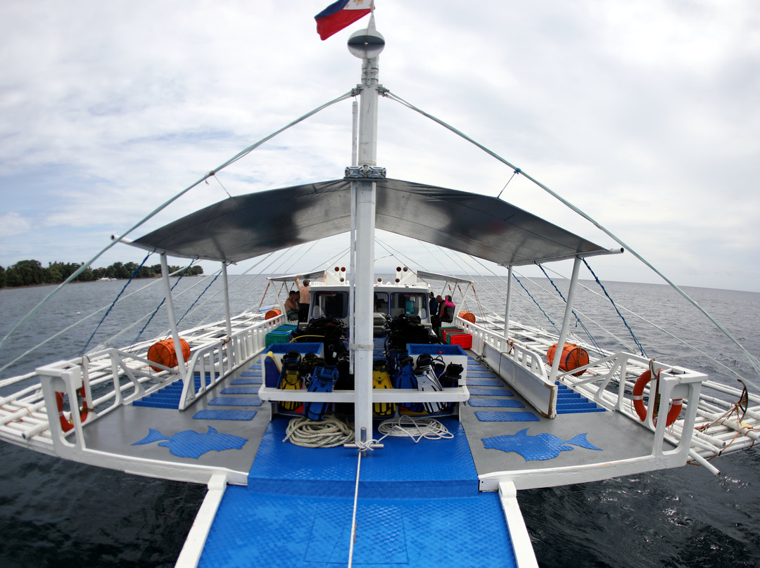 菲国海洋探索潜水中心景点图片