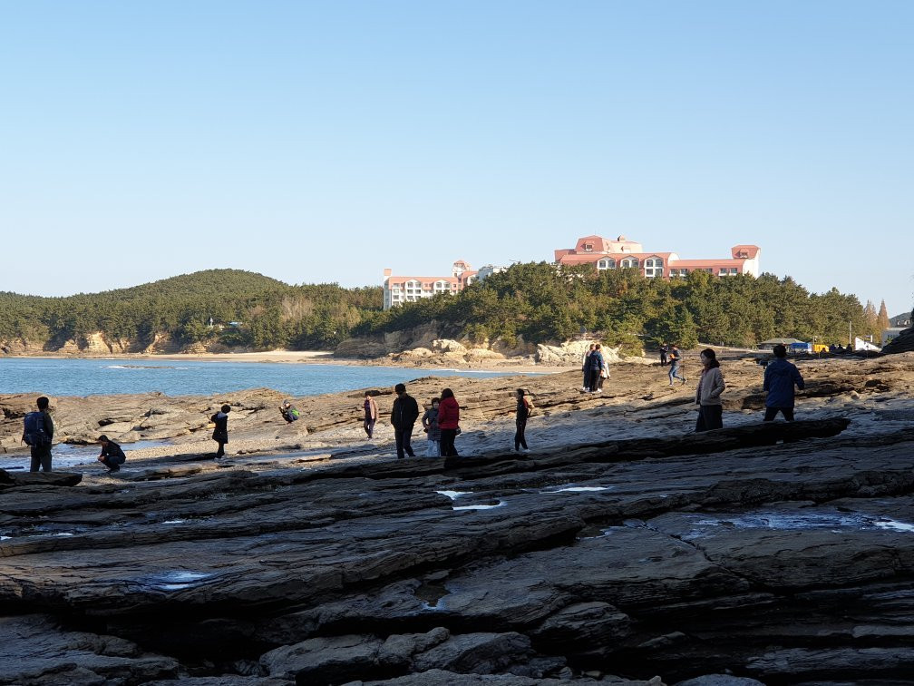 Gyeokpohang Fish Market-扶安郡必去景点