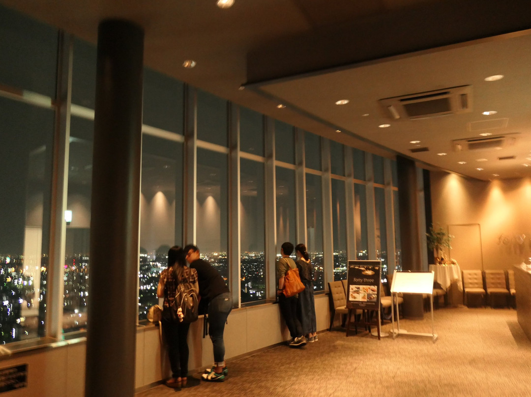 Gifu City Tower 43-岐阜市必去景点