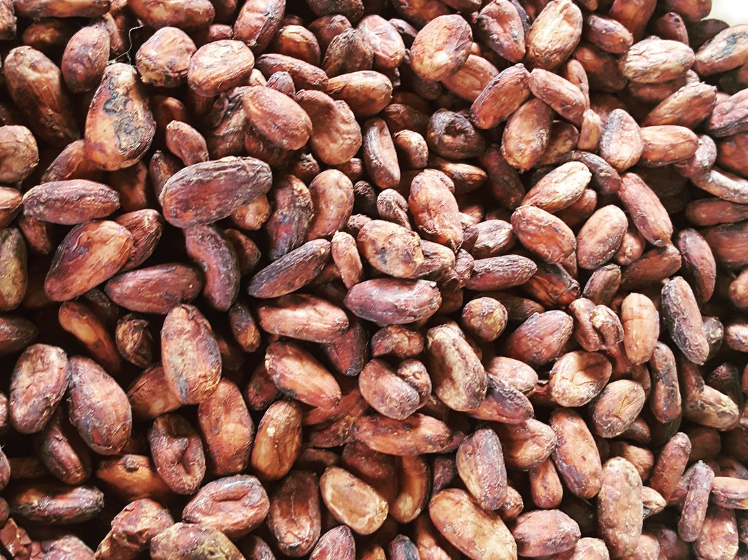 Best Deal Taxi Grenada-St. George's必去景点