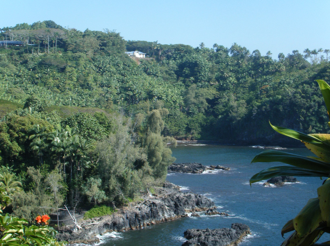 Hamakua Coast景点图片