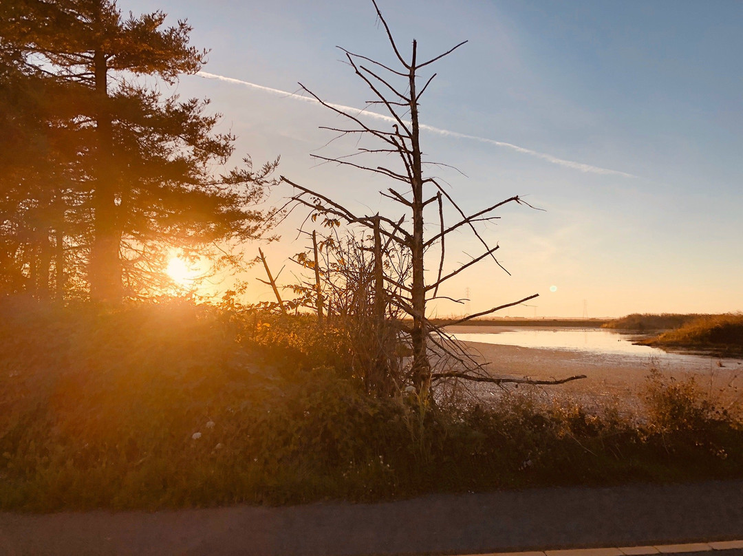 Arcata Marsh and Wildlife Sanctuary景点图片