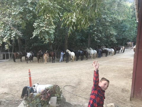 Circle Bar B Guest Ranch主图