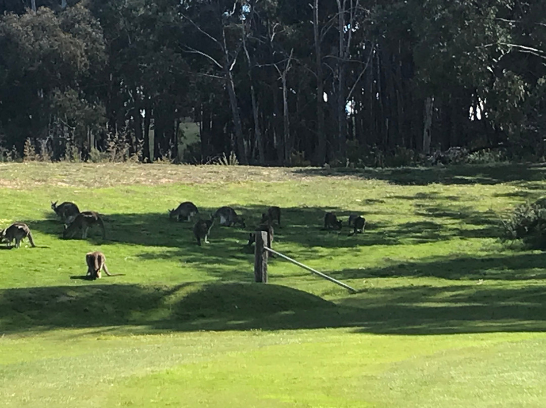 Hepburn Golf Course-Hepburn Springs必去景点