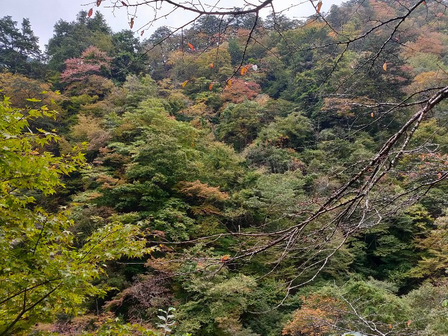 Nakatsu River-秩父市必去景点