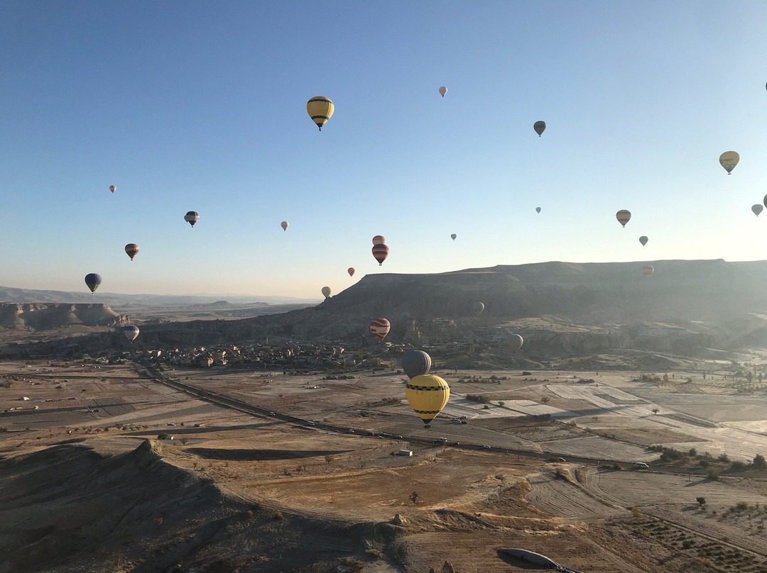 Butterfly Balloons景点图片