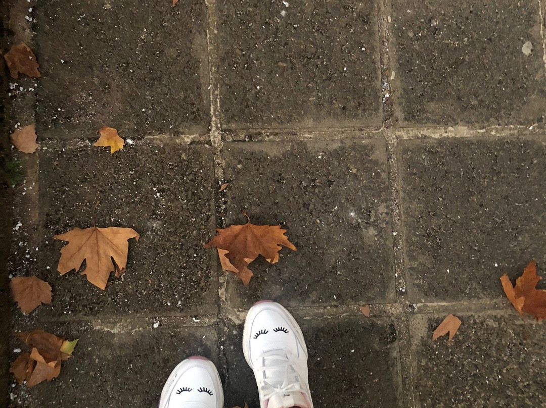 Medicus SPA hotel主图