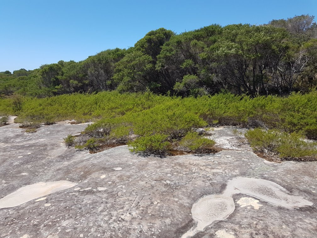 Dharawal Aboriginal Engravings Site-Royal National Park必去景点