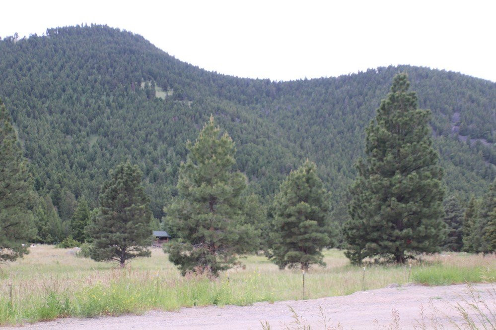 Helena National Forest-赫勒拿必去景点