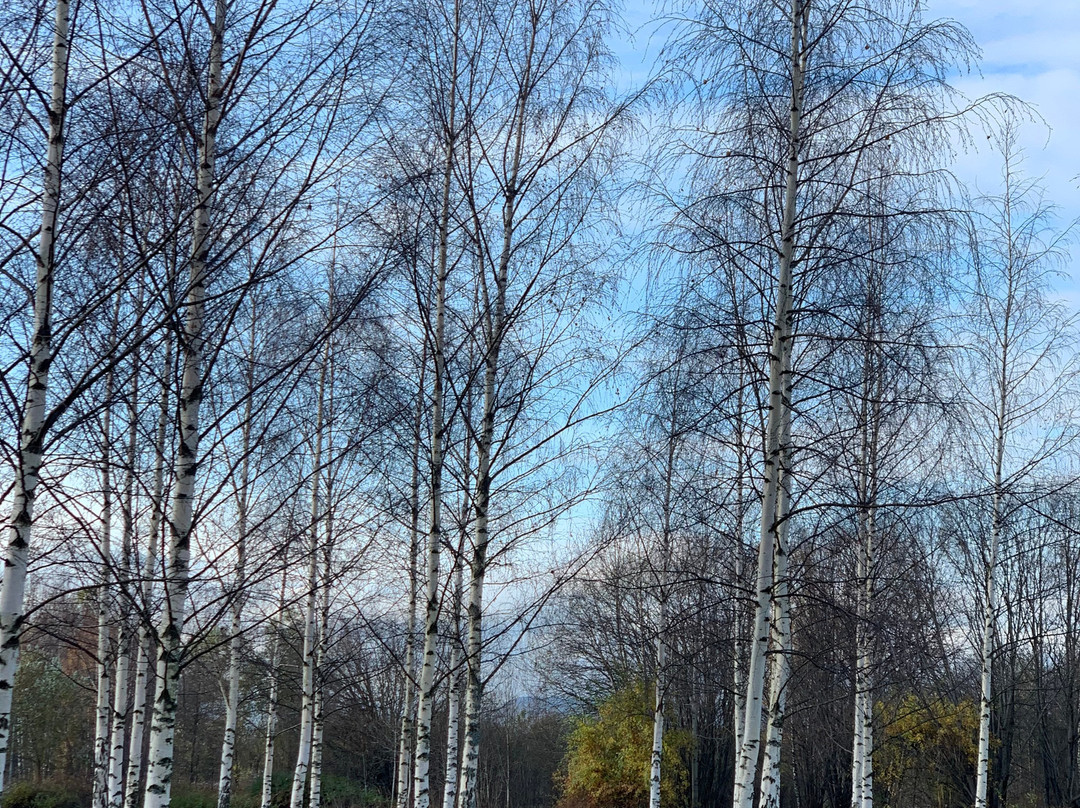 Nansen Park-Fornebu必去景点
