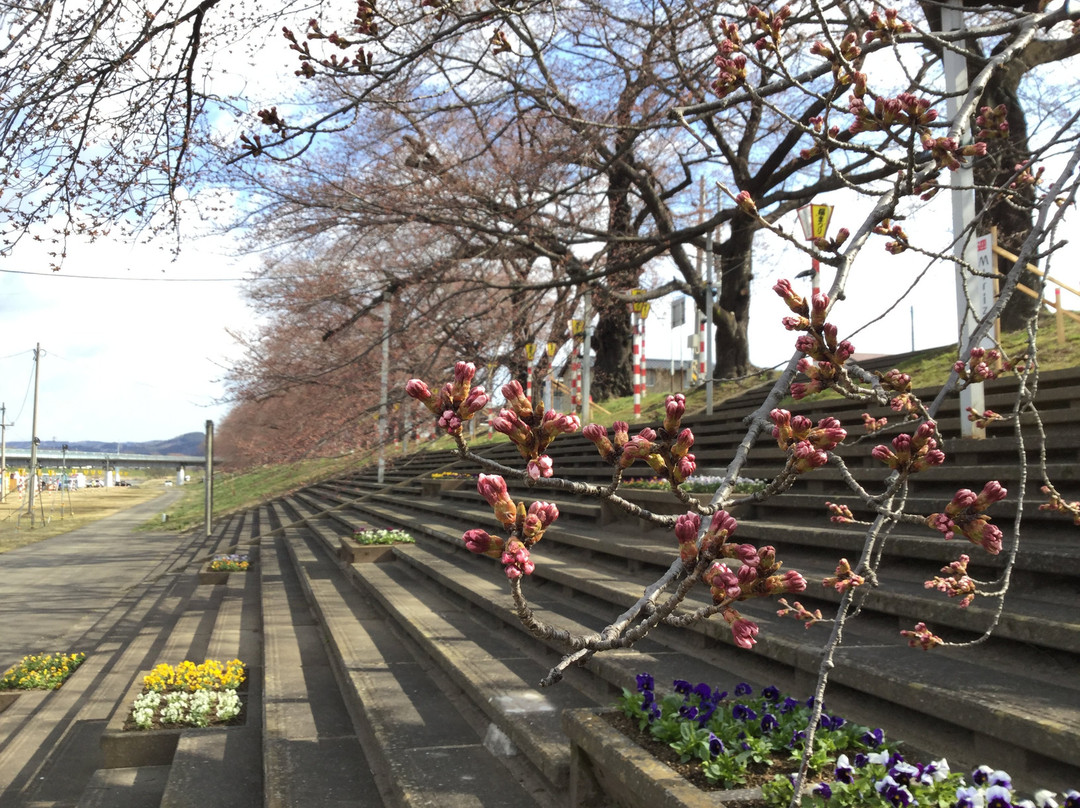 Shiroishigawa Embankment Funaoka Castle Park景点图片