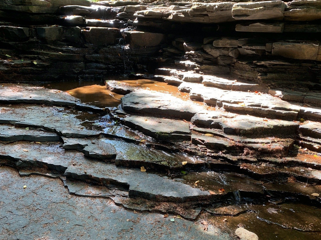 Christman Sanctuary-Delanson必去景点