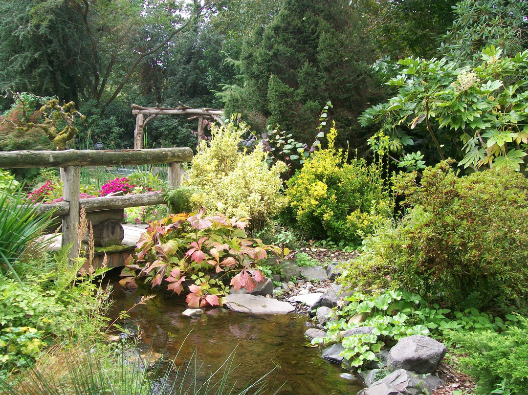 Highline SeaTac Botanical Gardens景点图片