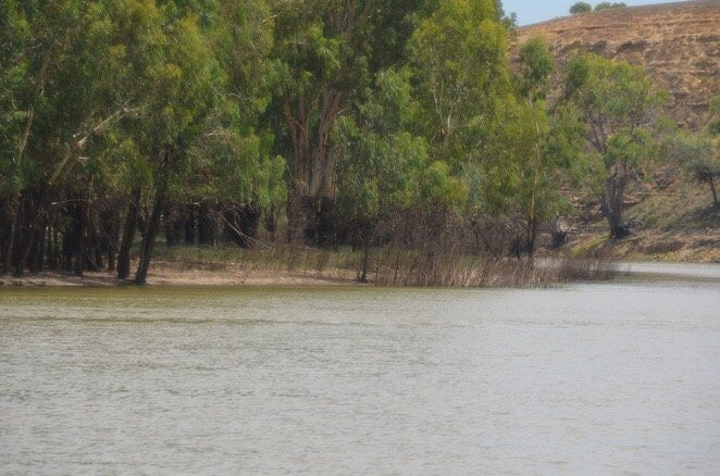 Heron Bend Reserve-Overland Corner必去景点