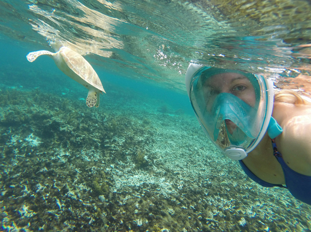 Authentique Excursion-Sainte-Anne必去景点