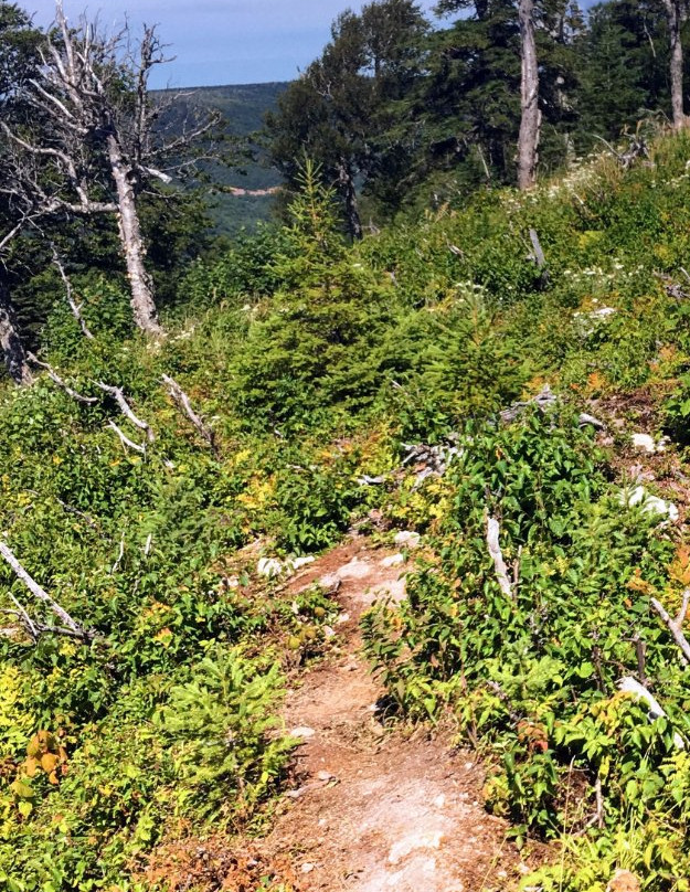 Aspy Trail-布雷顿角岛必去景点