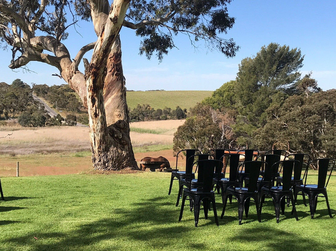 One Paddock Currency Creek Winery景点图片