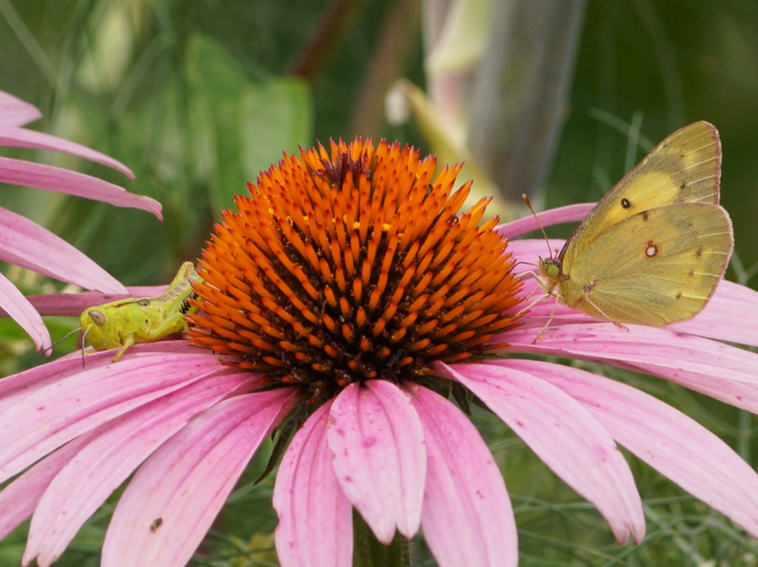 Stoney Brook-Millstone Watershed