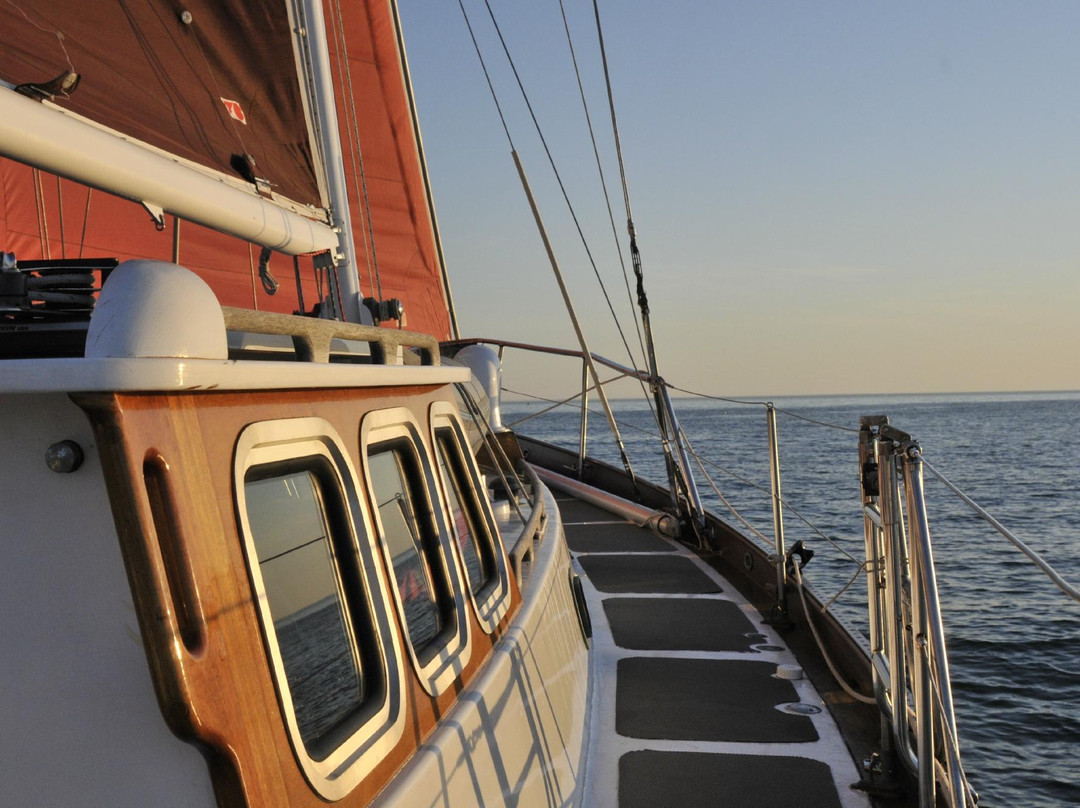 Blue Yonder Sail Charters - Day Tours景点图片