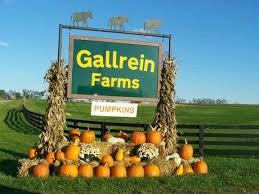 Gallrein Farms景点图片