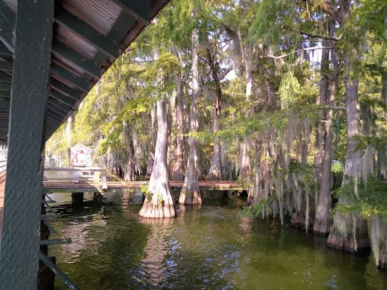 Lake Bruin State Park景点图片