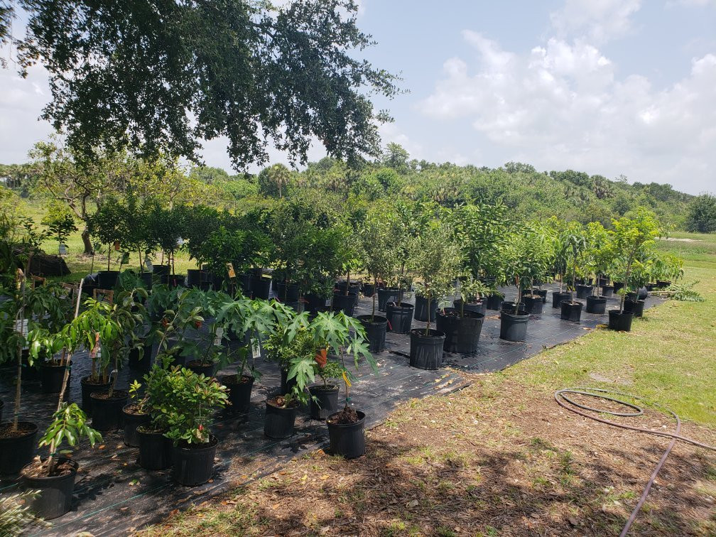 Peterson Groves-维罗海滩必去景点